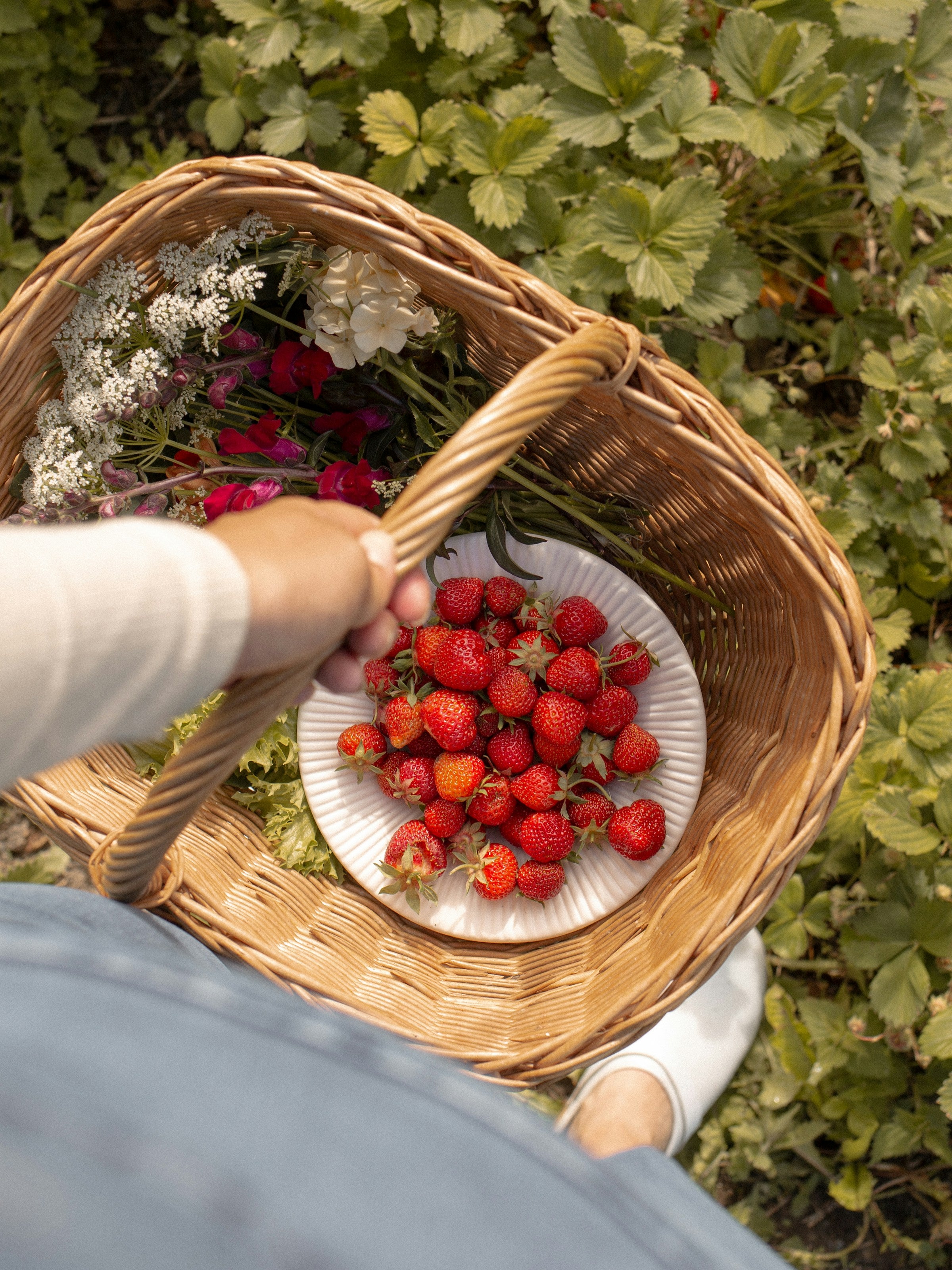 basket of Muses emma watson marriage roma july 