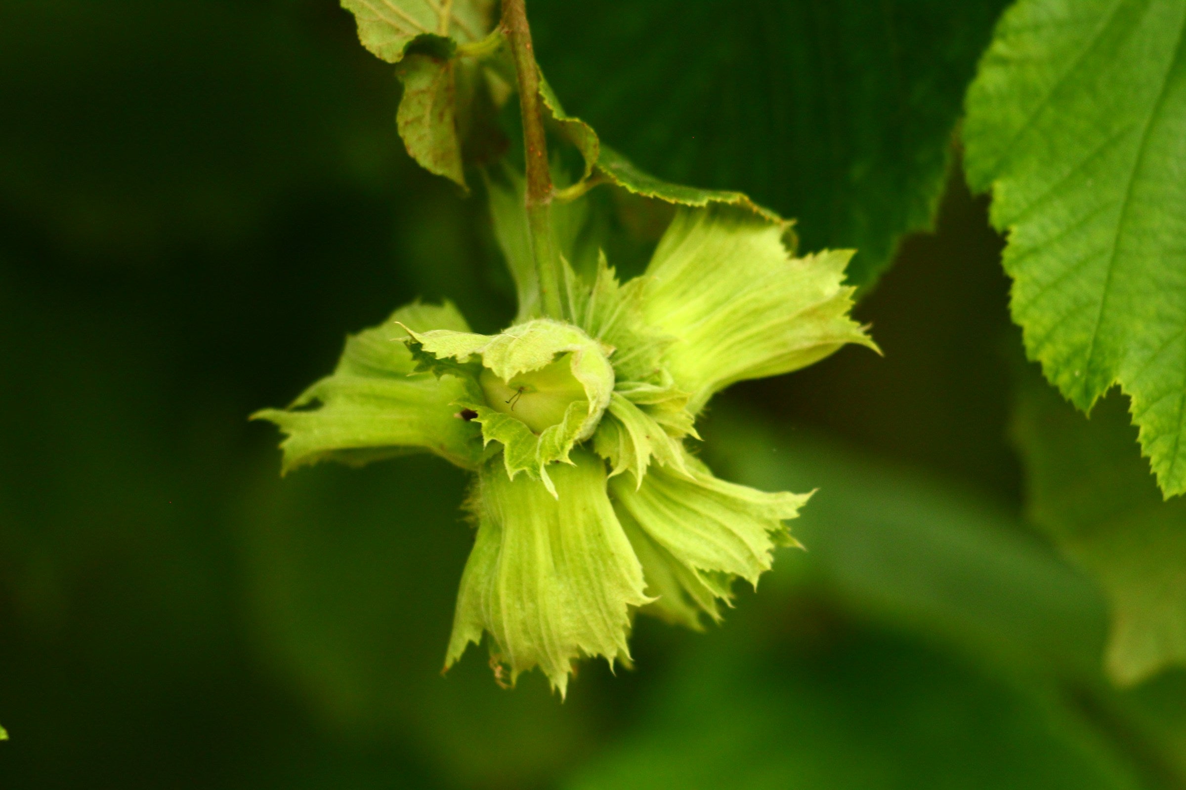 The Circle: Solution To Poverty | Millennium Prize Problems | Breakthrough: Cancer, Alzheimer, Di-Higgs, Antimatter